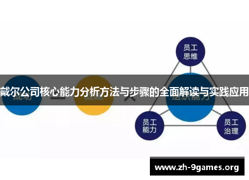 戴尔公司核心能力分析方法与步骤的全面解读与实践应用