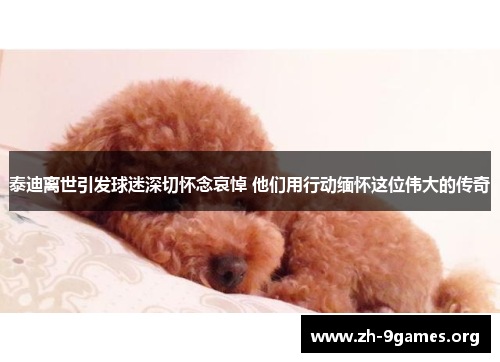 泰迪离世引发球迷深切怀念哀悼 他们用行动缅怀这位伟大的传奇