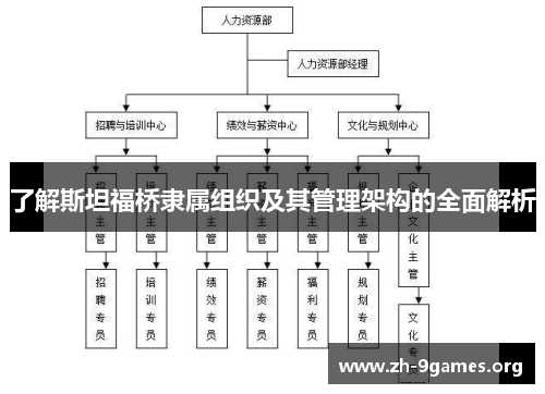 了解斯坦福桥隶属组织及其管理架构的全面解析 了解斯坦福桥隶属组织及其管理架构的全面解析