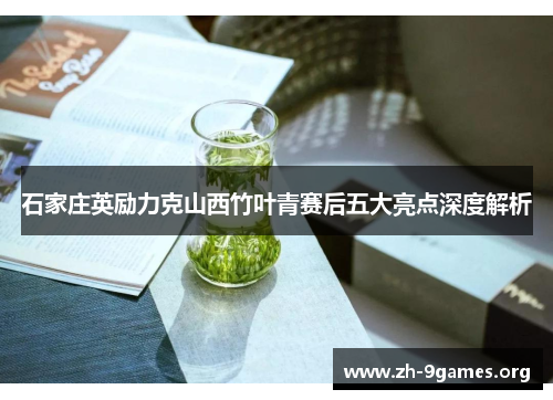 石家庄英励力克山西竹叶青赛后五大亮点深度解析