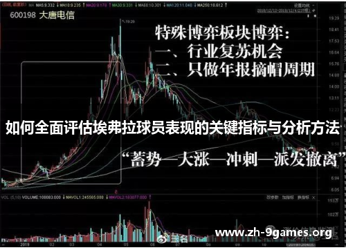 如何全面评估埃弗拉球员表现的关键指标与分析方法